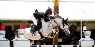Chrome Horse moved 140 cases at WEF 2026