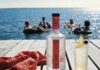 Devil's Grin Texas Gin