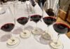 Inside Don Melchor's Vertical Tasting in Los Angeles