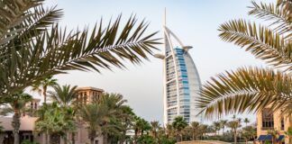 Dubai International Film Festival